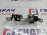 Петли двери задней левой Opel Insignia