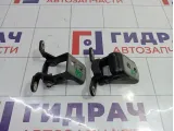 Петли двери задней правой Opel Insignia