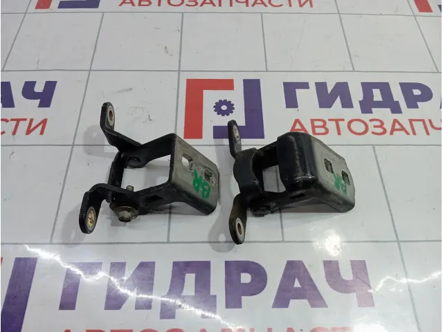 Петли двери задней правой Opel Insignia