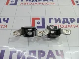 Петли двери задней правой Opel Insignia