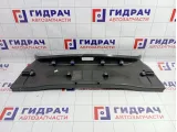 Обшивка багажника на заднюю панель Opel Insignia 2346258