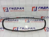 Молдинг решетки радиатора Opel Insignia 6400243