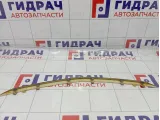 Молдинг решетки радиатора нижний Opel Insignia 1322272