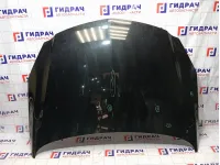 Капот Opel Insignia 1160013