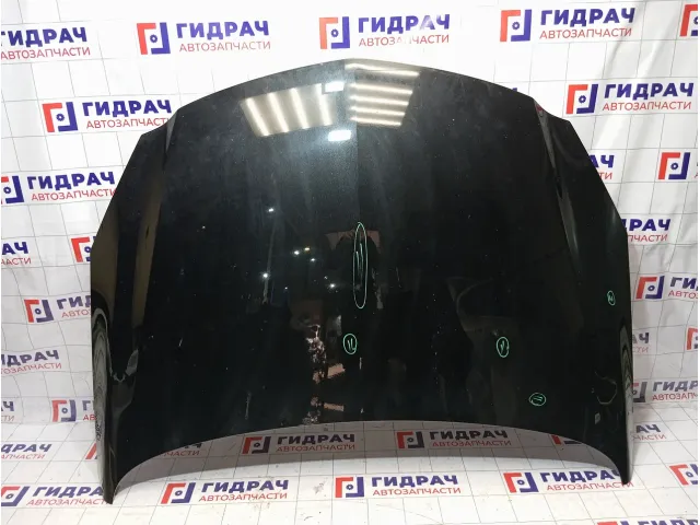 Капот Opel Insignia 1160013
