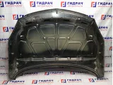 Капот Opel Insignia 1160013