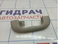 Ручка внутренняя потолочная Opel Mokka (J13) 95025626