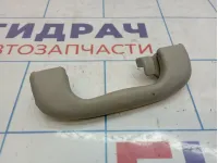 Ручка внутренняя потолочная Opel Mokka (J13) 95025627