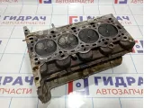 Головка блока Opel Mokka (J13) 609132