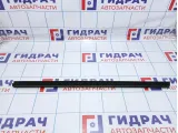 Уплотнитель стекла двери переднего левого Opel Zafira (B) 5154111