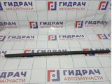 Уплотнитель стекла двери заднего левого Opel Zafira (B) 5154113