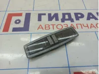 Плафон салонный Opel Zafira (B) 1230096