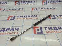 Амортизатор двери багажника Opel Zafira (B) 132749