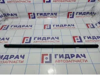 Уплотнитель стекла двери задней левой Opel Zafira B 5154113