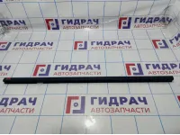 Уплотнитель стекла двери задней правой Opel Zafira B 5154114