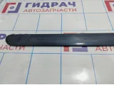 Молдинг передней правой двери Opel Zafira B 5172422