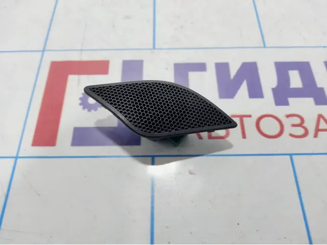 Динамик левый Opel Zafira B 13163900