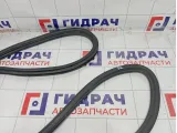 Уплотнитель двери передней левой Opel Zafira 5157210