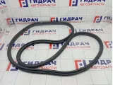 Уплотнитель двери задней левой Opel Zafira 5157212