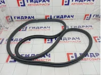 Уплотнитель двери задней левой Opel Zafira 5157212