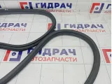 Уплотнитель двери задней левой Opel Zafira 5157212