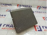 Испаритель кондиционера Opel Zafira 1842441