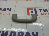 Ручка потолочная Opel Zafira