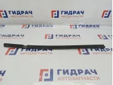 Уплотнитель стекла двери задней левой Opel Zafira 2 . Наружняя.