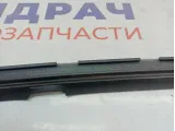 Уплотнитель стекла двери задней левой Opel Zafira 2 . Наружняя.