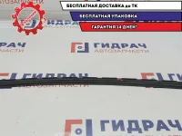 Уплотнитель стекла двери передней левой Opel Zafira 2 . Наружняя.