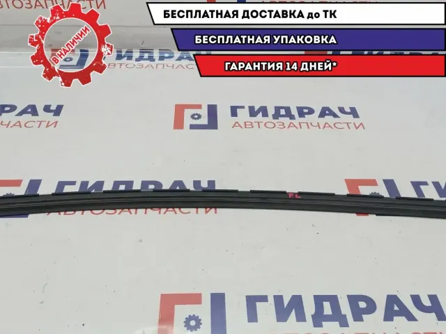 Уплотнитель стекла двери передней левой Opel Zafira 2 . Наружняя.