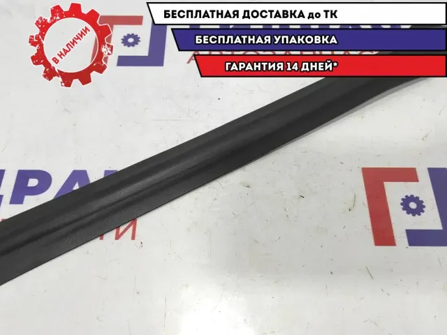 Накладка стойки средней левой Opel Zafira 2 13131953.