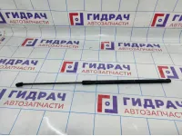 Амортизатор капота Volkswagen Passat CC 3C882335901S