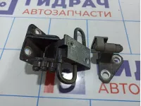 Петли двери передней левой Volkswagen Passat CC