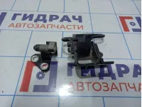 Петли двери задней правой Volkswagen Passat CC