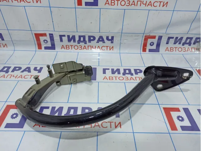 Петля крышки багажника левая Volkswagen Passat CC 3C8827301A