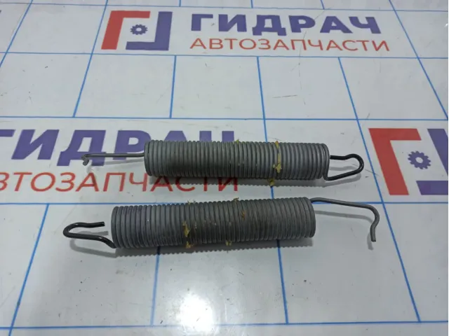 Пружина петли багажника Volkswagen Passat CC 3C8827665