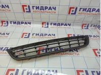 Решетка в бампер центральная Volkswagen Passat CC 3C8853677