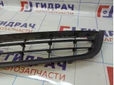 Решетка в бампер центральная Volkswagen Passat CC 3C8853677