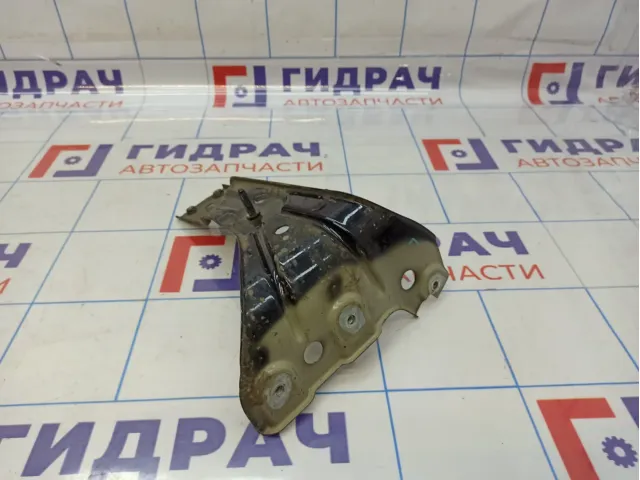 Кронштейн крепления крыла левый Volkswagen Passat CC 3C8821141