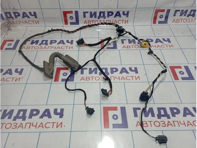 Проводка (коса) двери передней левой Volkswagen Passat CC 3C8971120BN