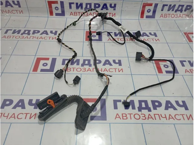 Проводка (коса) двери задней левой Volkswagen Passat CC 3C8971693CH