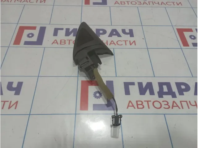 Крышка зеркала внутренняя правая Volkswagen Passat CC 3C8837974C9B9