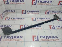 Уплотнитель стекла двери заднего правого Volkswagen Passat CC 3C8839472C5AP