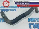 Патрубок радиатора нижний Peugeot 107 1351HL.