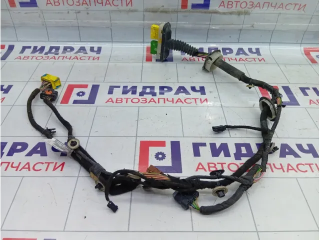 Проводка двери передней левой Peugeot 2008 9805740980