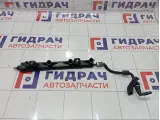 Топливная рампа (топливная рейка) Peugeot 2008 198552