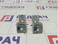 Петли двери передней правой Peugeot 2008