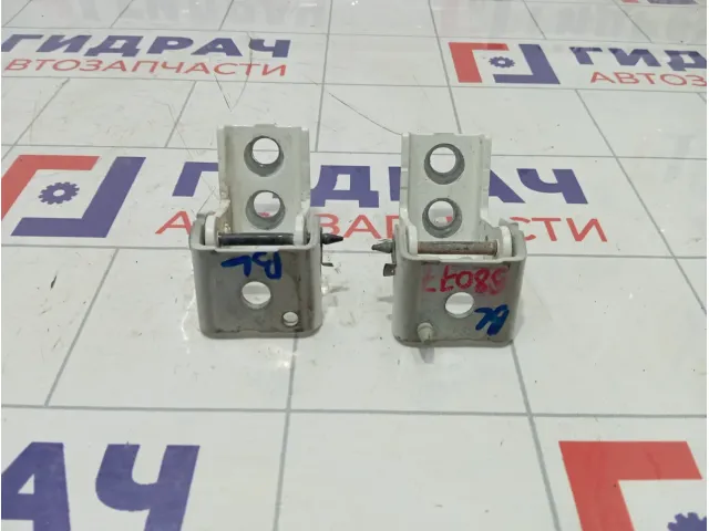 Петли двери задней левой Peugeot 2008