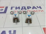 Петли крышки (двери) багажника Peugeot 2008